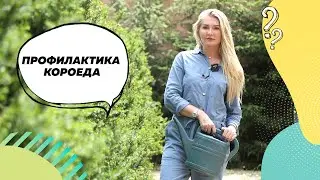 #ландшафтныйдизайн