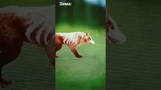 Зима в деле