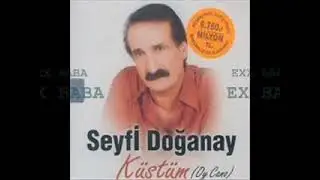 SEYFİ DOĞANAY - Sebebi Sensin