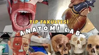 TIP FAKÜLTESİ VLOG 2 | Mini Anatomi Lab Vlogu