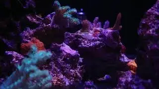 Rico's nano challenge 2018