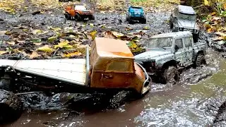 RC Trucks Take on Muddy Trails and Raging Rivers!
