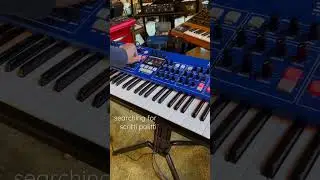 groove synthesis 3rd wave, wave table synthesizer. built in sequencer + strymon