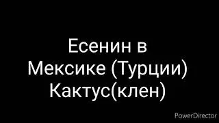 Если бы Есенин жил в Мексике