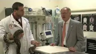 Inside OSU - Veterinary School/Exotics Program