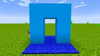 minecraft but door invisible