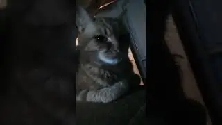 Попробуй не заплакать😫😥😭😭😭😭😭