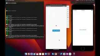 Animate numbers using react native reanimated l simple text animation l number animation l Urdu