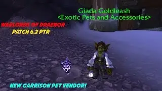 Warlords of Draenor Patch 6.2 PTR: Lost Netherpup and other new pets!
