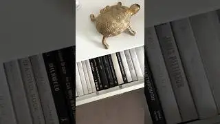 How To Organize Your Books | Creating a secret library 