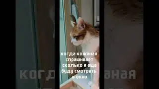 сколько можно смотреть в окно 