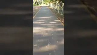 Patinando en el parque