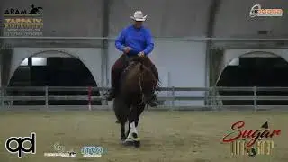 4 tappa ARAM 2020 - FABBRI PIERLUIGI & DOC TINSELTOWN GUNNER score 72,5