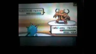 Pokemon D/P Wifi Battle #1 Nif vs Wolfdog7