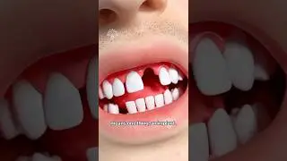 Can You Really Regrow Teeth?  Japan’s New Drug Explained! 