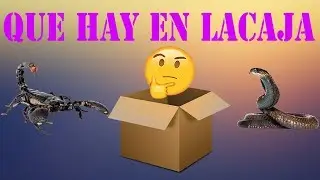QUE HAY EN LA CAJA-Danlove