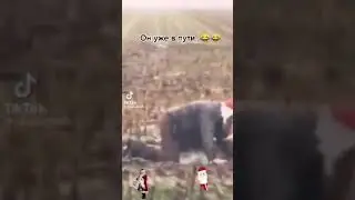 ❄️ #приколы новый год #shorts ❄️