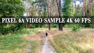 PIXEL 6A VIDEO SAMPLE 4K 60 FPS