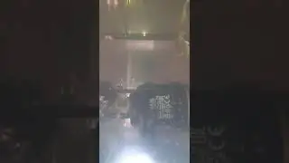 Мальки гуппи, рыбка гуппи