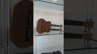 Crazy Ukulele Collection - Library Exhibit