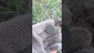 Уже вечер, а монеты не заканчиваются #кладоискатель #metaldetecting #коп #coin #metaldetector #мд