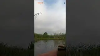 #shorts КРАЙНИЙ ЗАБРОС ПОПЛАПОППЕРА