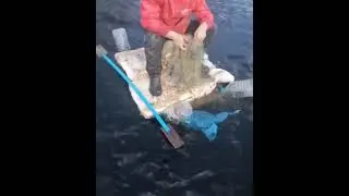 Самый главный браконьер СНГ😂/Рыбалка