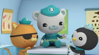 Octonauts and the Jellyfish Bloom - Full Episode