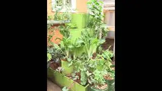 ENHANCING FARMING WITH ULTIMATE CREATIVE GAINS#viral #gardening #viralvideo #farming #agricuture