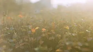 Aeron - Summit