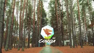 ДОЛ «Сокол»