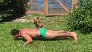 Dog Humps Man While he Does Push Ups