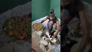Rabbit🐇🐰 Farm | Feeding  Time | முயல் பண்ணை | உணவளிக்கும் நேரம் | #shortd