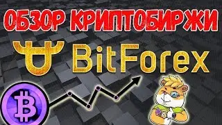 Обзор КРИПТОБИРЖИ BitForex! (регистрация)