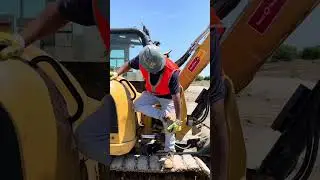 Day at Work 5