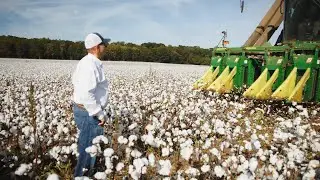 Introducing Our Recent Bridgeforth Farms Scholarship & Internship Awardees | Victoria's Secret