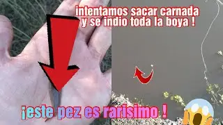 Fuimos por las TARARIRAS y nos ENCONTRAMOS con un PEZ MUY RARO!/PESCA PDF