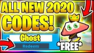 Ghost simulator codes