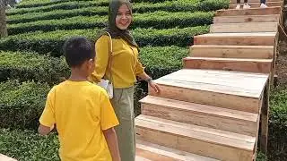 GEDE RIVERSIDE CHAMP// TEA BRIDGE // AGROWISATA GUNUNG MAS
