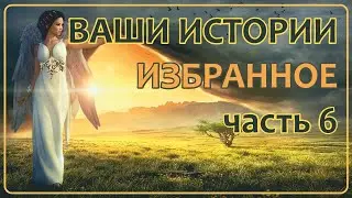 Ваши Истории - Избранное (часть 6)