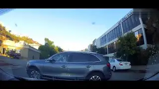 Worlds Worst Drivers 17