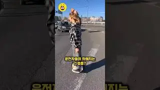 운전자들이 착해지는 신호등? #신호등 #쇼츠 #shorts