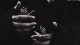 Legovich - Мотыльки (Remix)