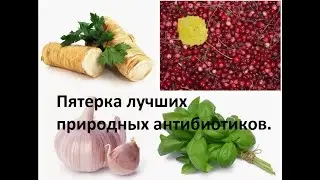 Пятерка лучших природных антибиотиков.