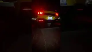 2024+ S650 Mustang GT on dumps! No exhaust on! Does it sound better? #Shorts #Mustang #Racecar #YT