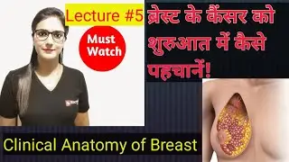 CLINICAL ANATOMY OF BREAST. lecture5/6 #breastcancer #breastcancerawareness