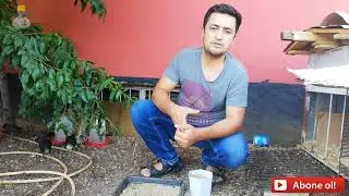 Kuluçka makinesinde hangi yumurtadan civciv çıkmaz