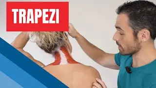 Gli ESERCIZI più EFFICACI per TRAPEZI troppo contratti