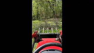 Clamp-On Debris Forks
