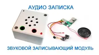The audio note. Sound recording module.